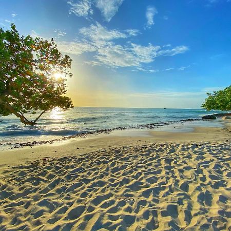 Palm Beach Paradise Vacation Rental Kültér fotó