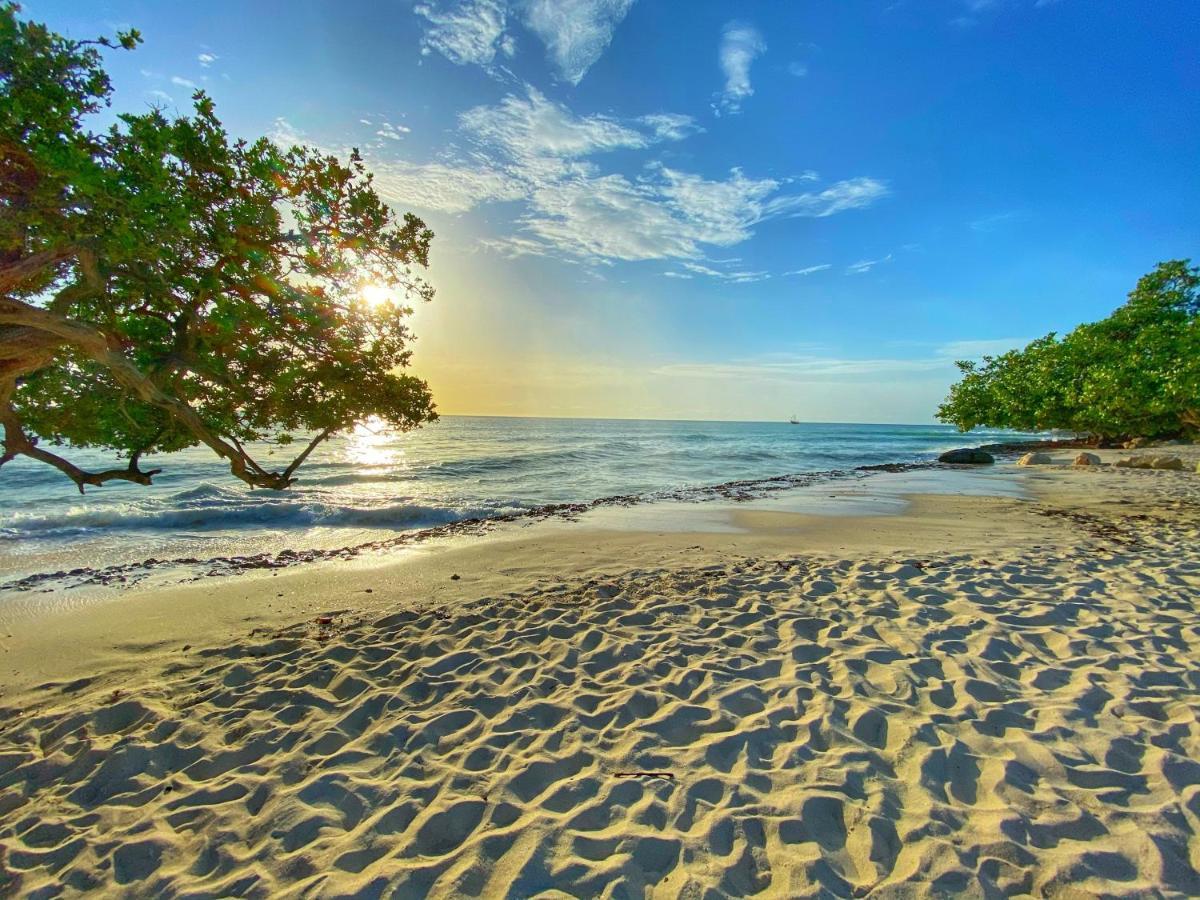 Palm Beach Paradise Vacation Rental Kültér fotó